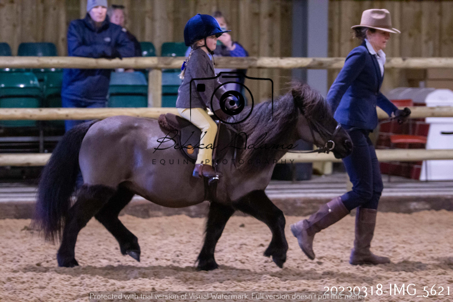 Home Farm Showing 19th March (Ridden) Pt 1