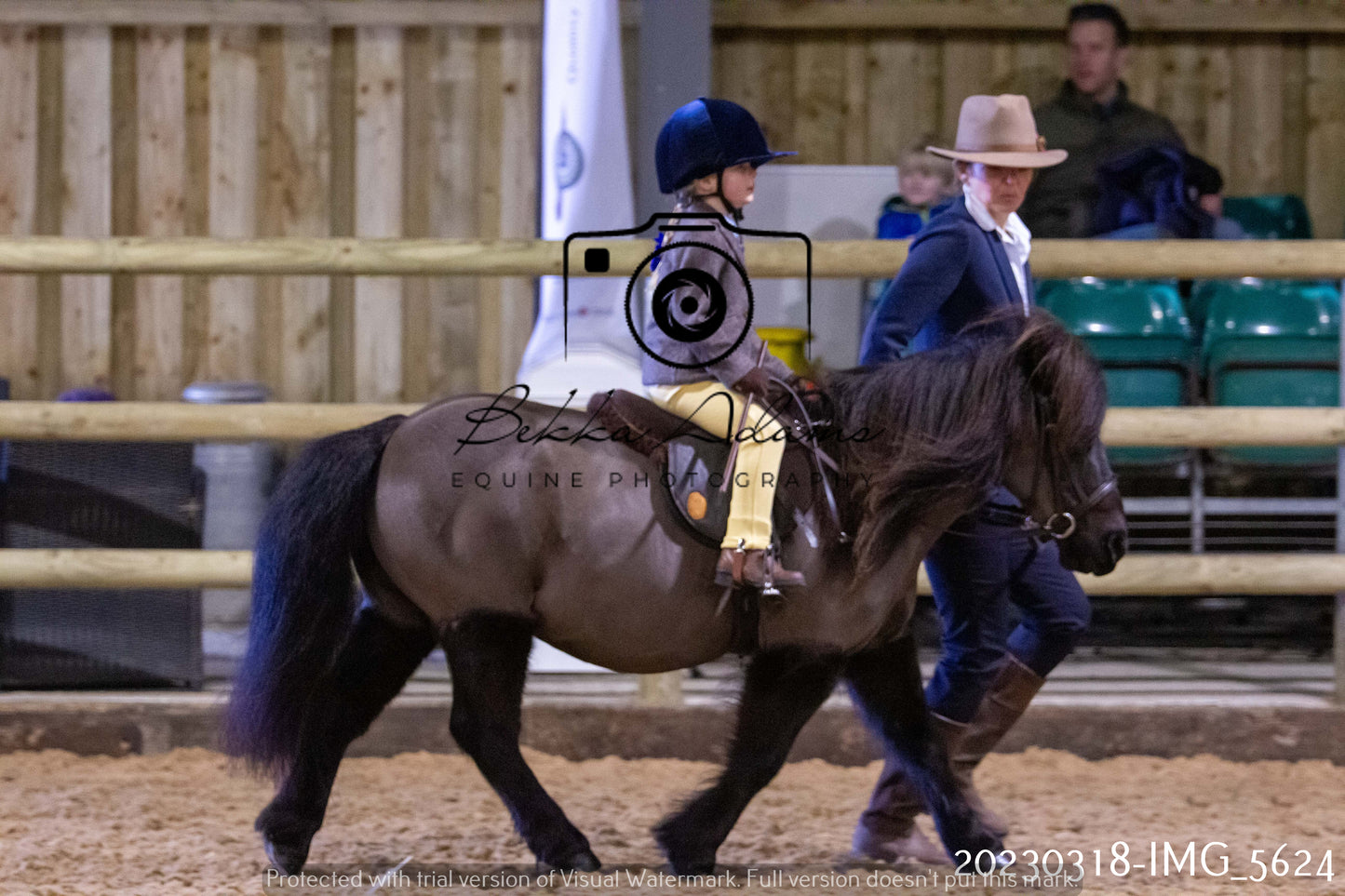 Home Farm Showing 19th March (Ridden) Pt 1