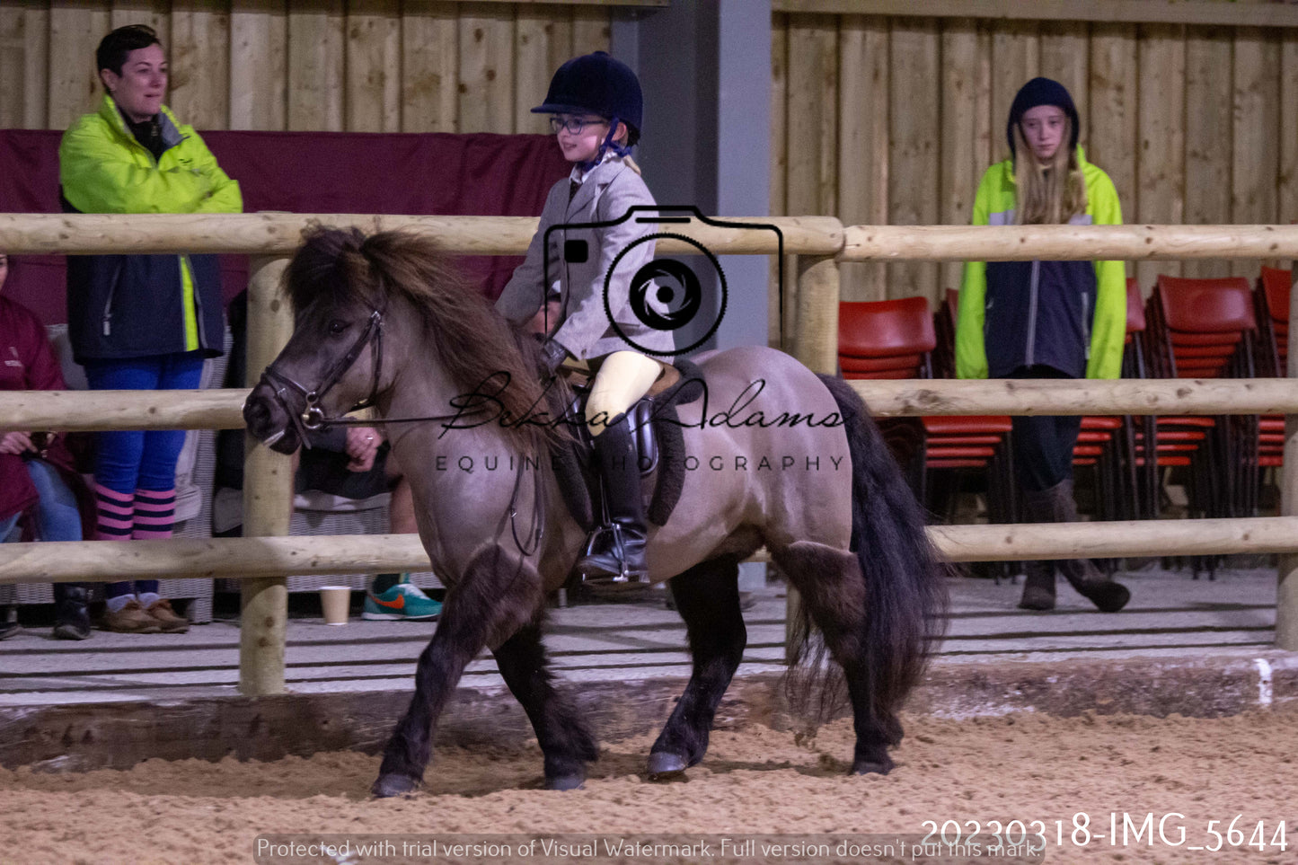 Home Farm Showing 19th March (Ridden) Pt 1
