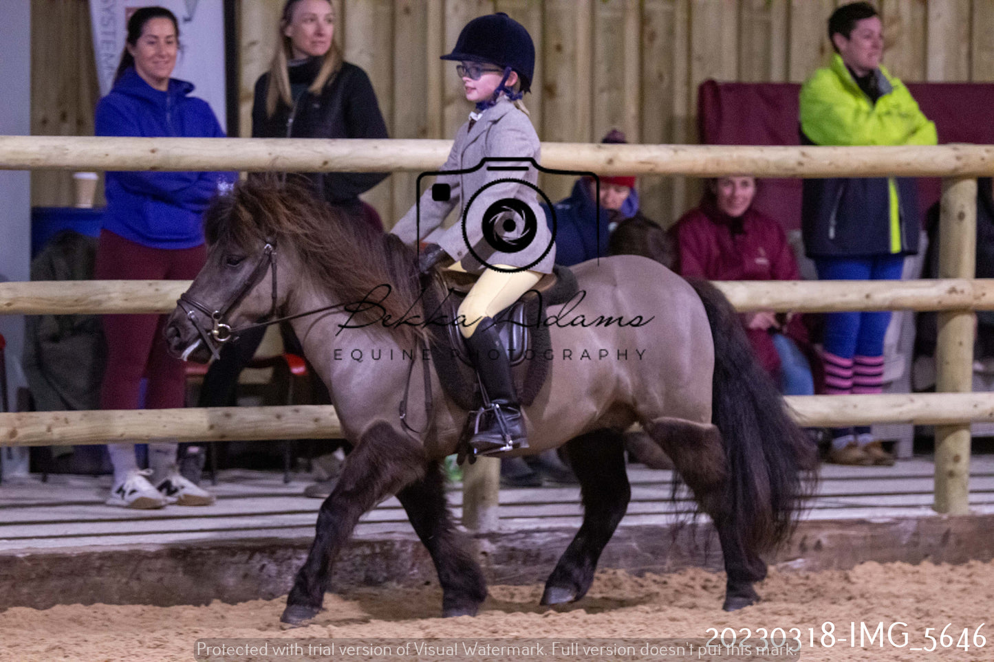 Home Farm Showing 19th March (Ridden) Pt 1