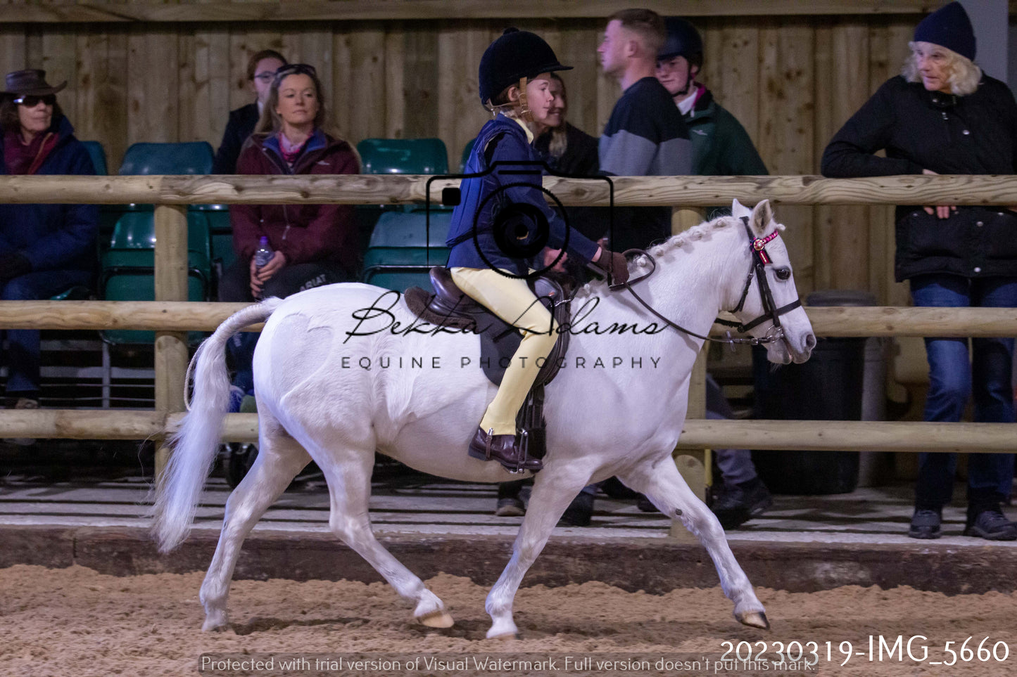 Home Farm Showing 19th March (Ridden) Pt 1