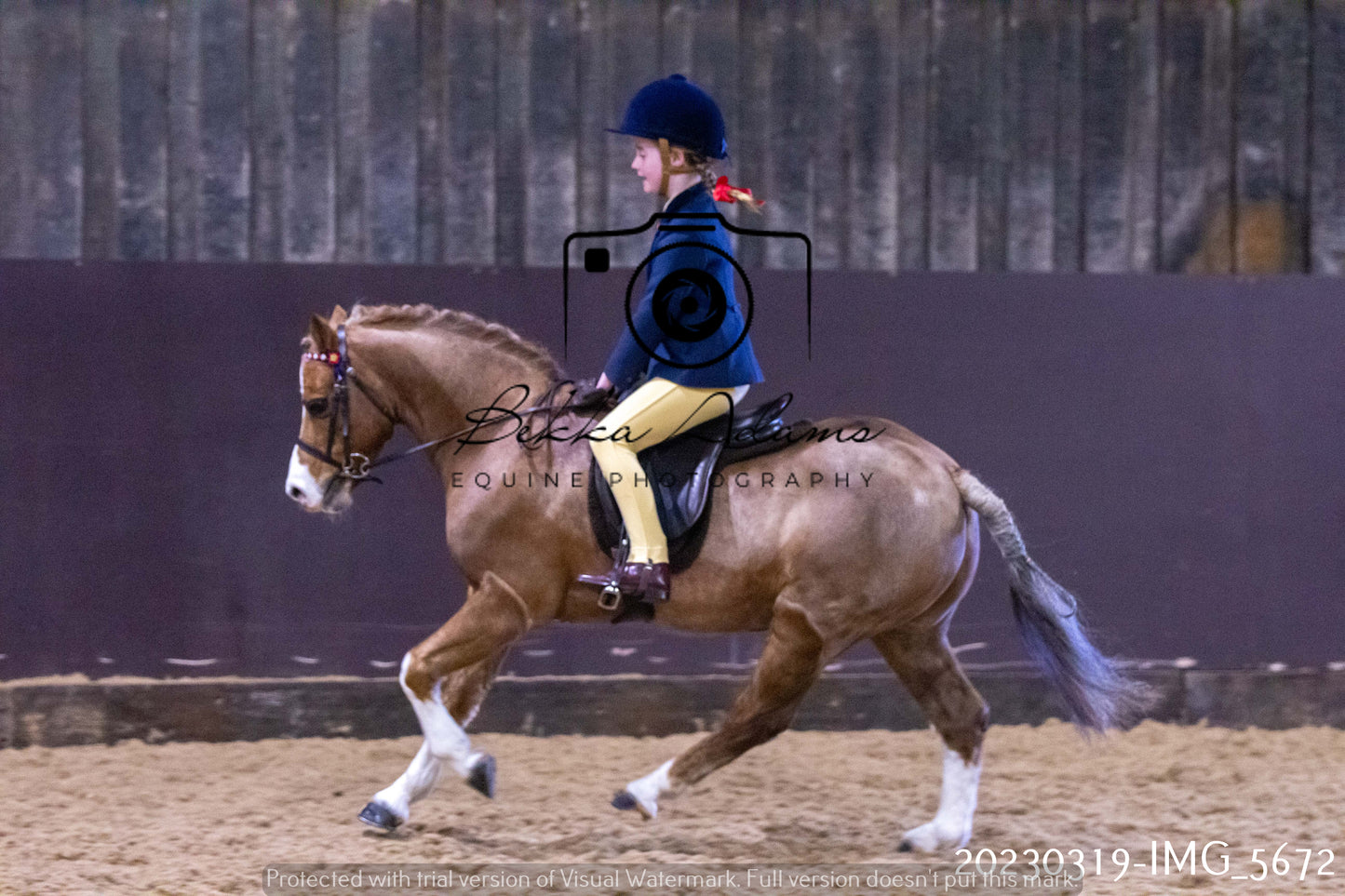 Home Farm Showing 19th March (Ridden) Pt 1
