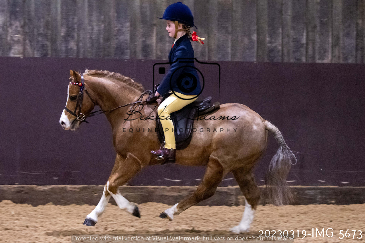 Home Farm Showing 19th March (Ridden) Pt 1
