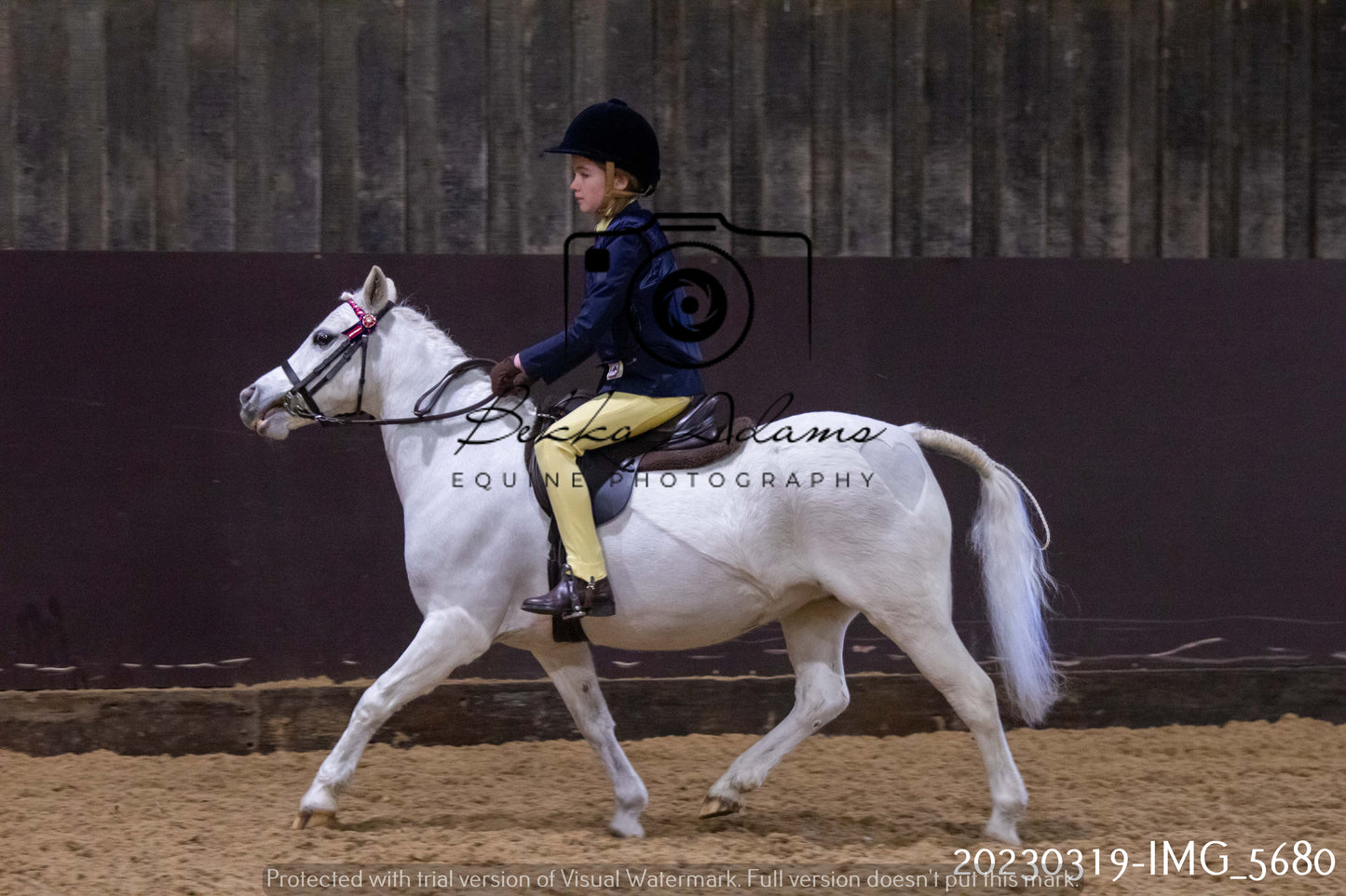 Home Farm Showing 19th March (Ridden) Pt 1