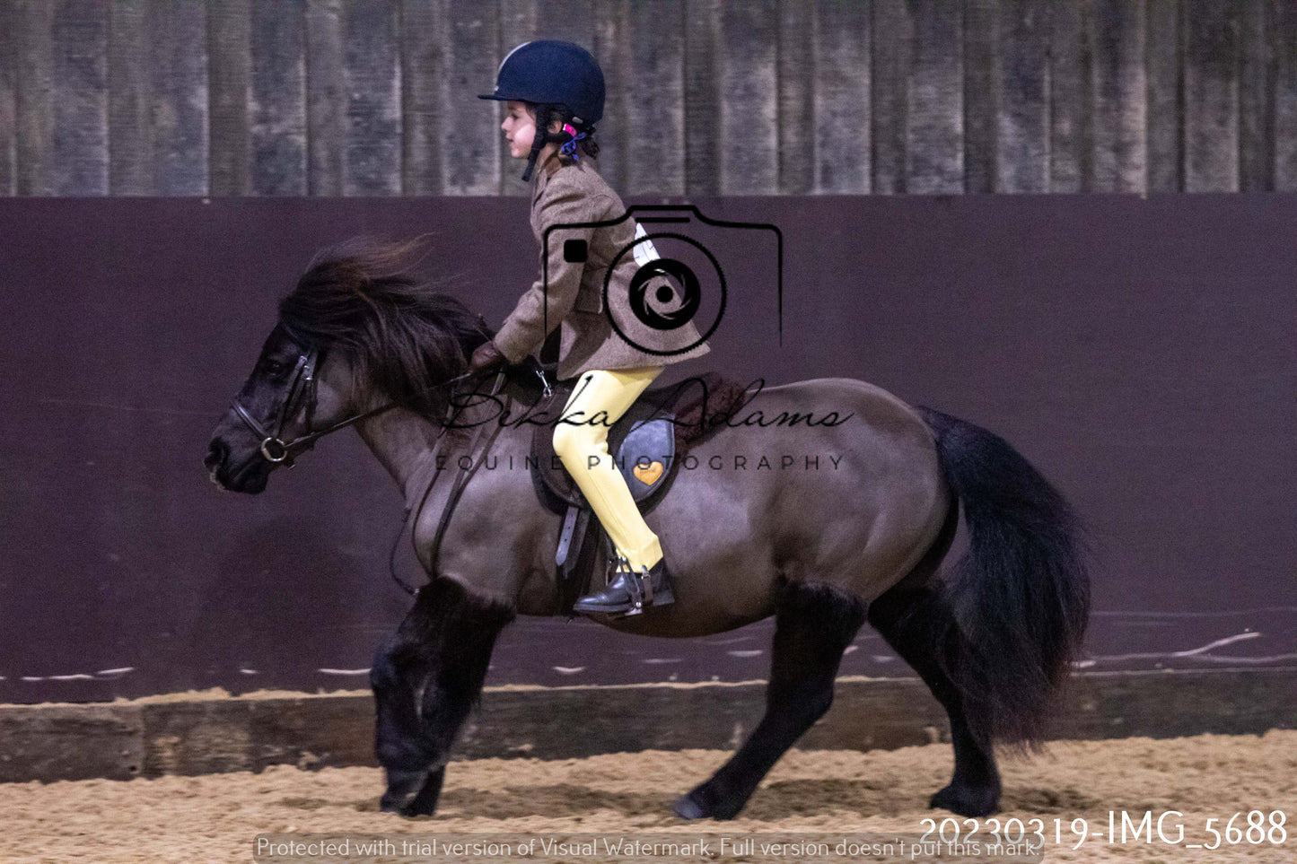 Home Farm Showing 19th March (Ridden) Pt 1