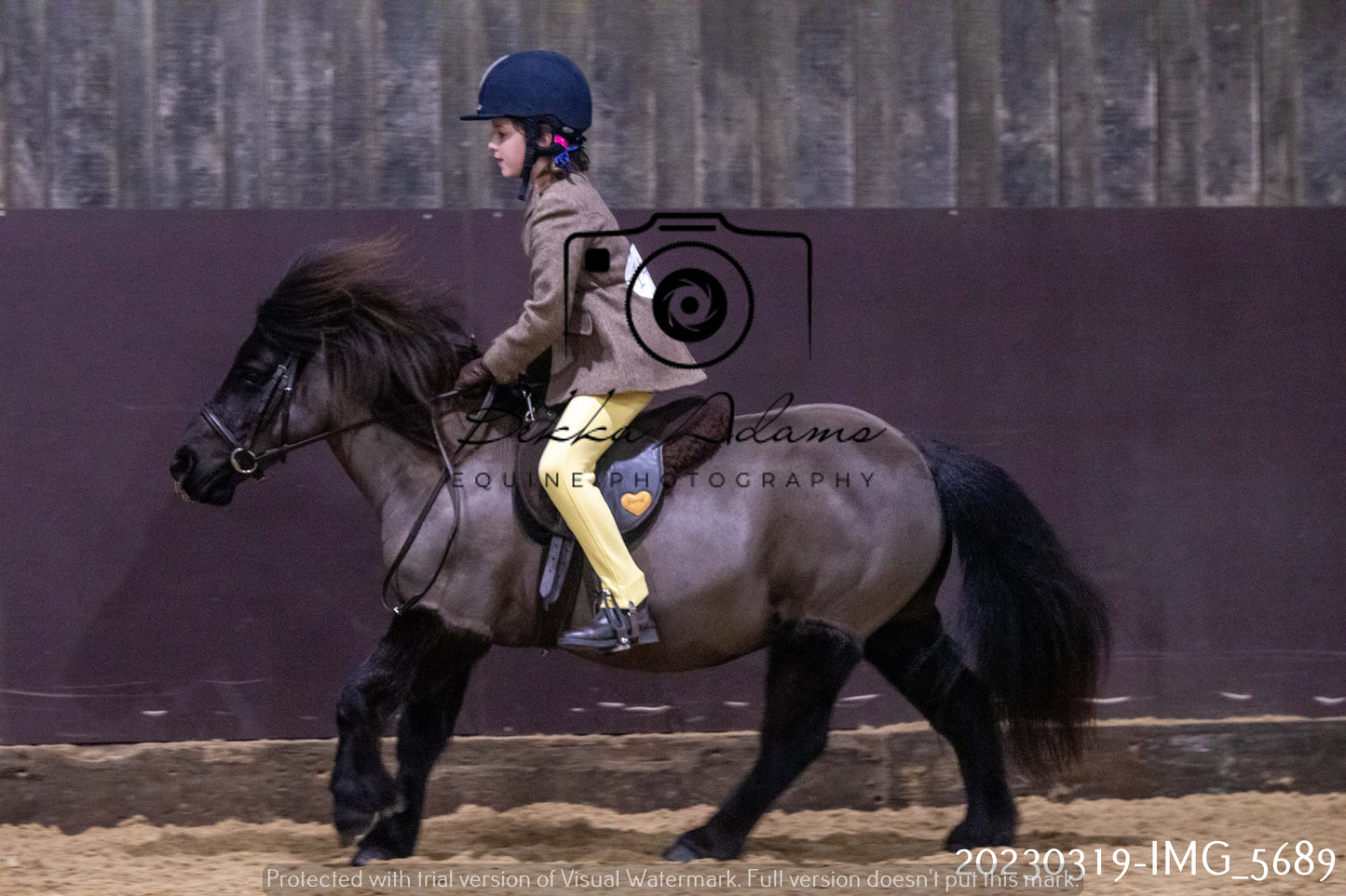 Home Farm Showing 19th March (Ridden) Pt 1