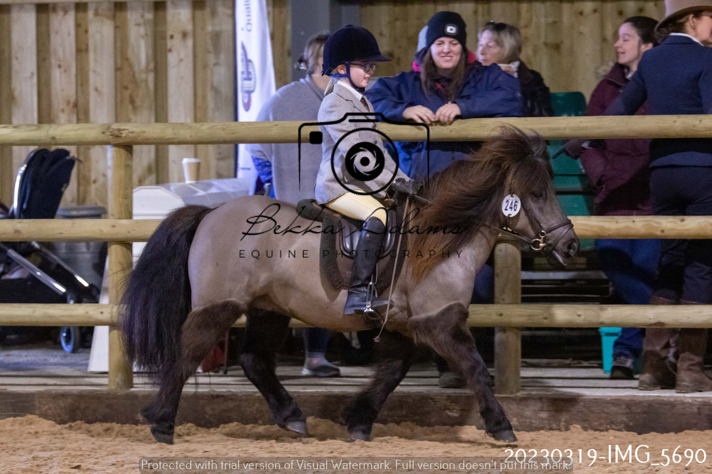 Home Farm Showing 19th March (Ridden) Pt 1