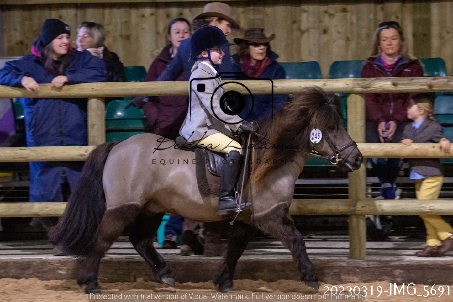 Home Farm Showing 19th March (Ridden) Pt 1