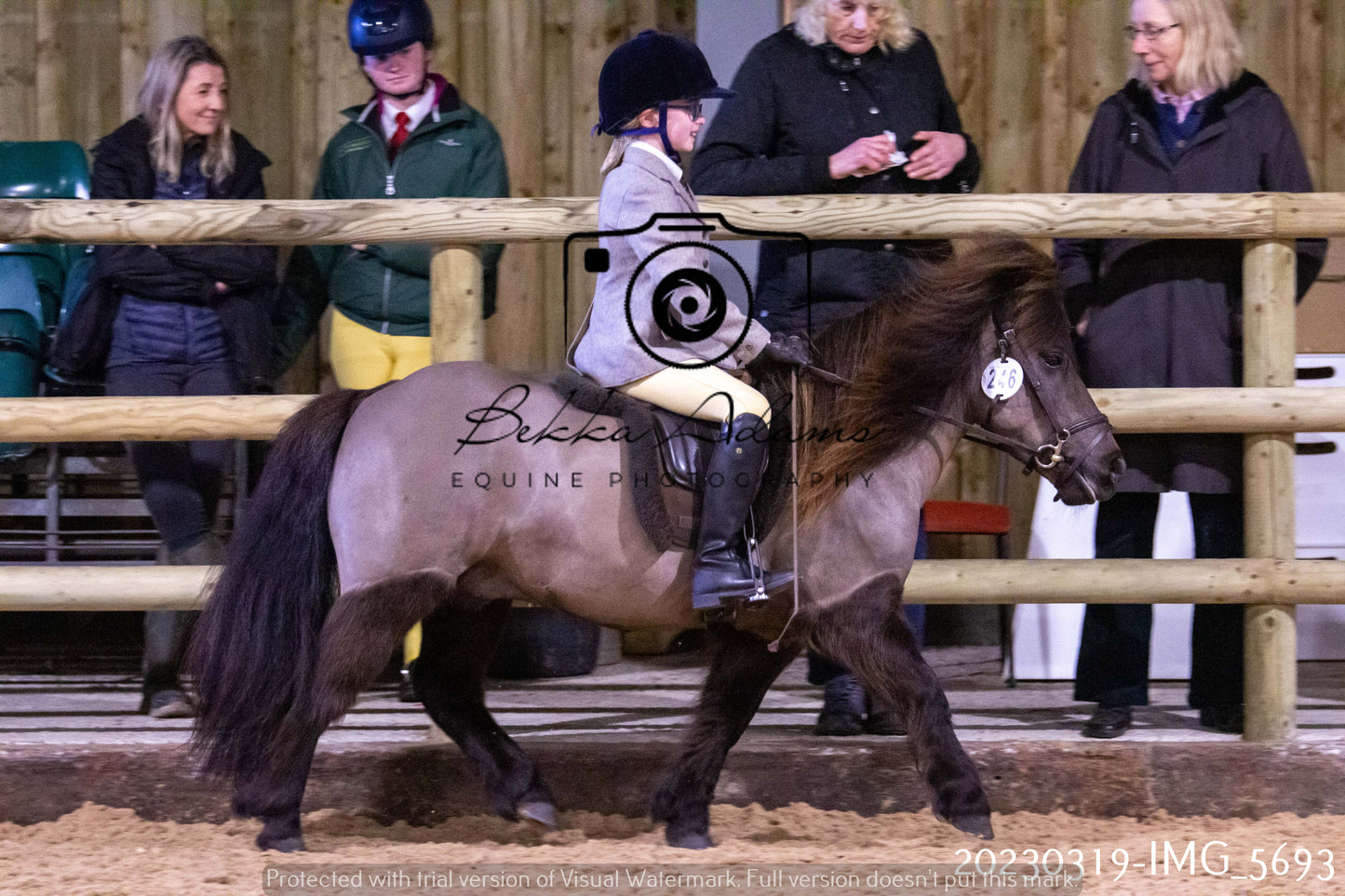 Home Farm Showing 19th March (Ridden) Pt 1