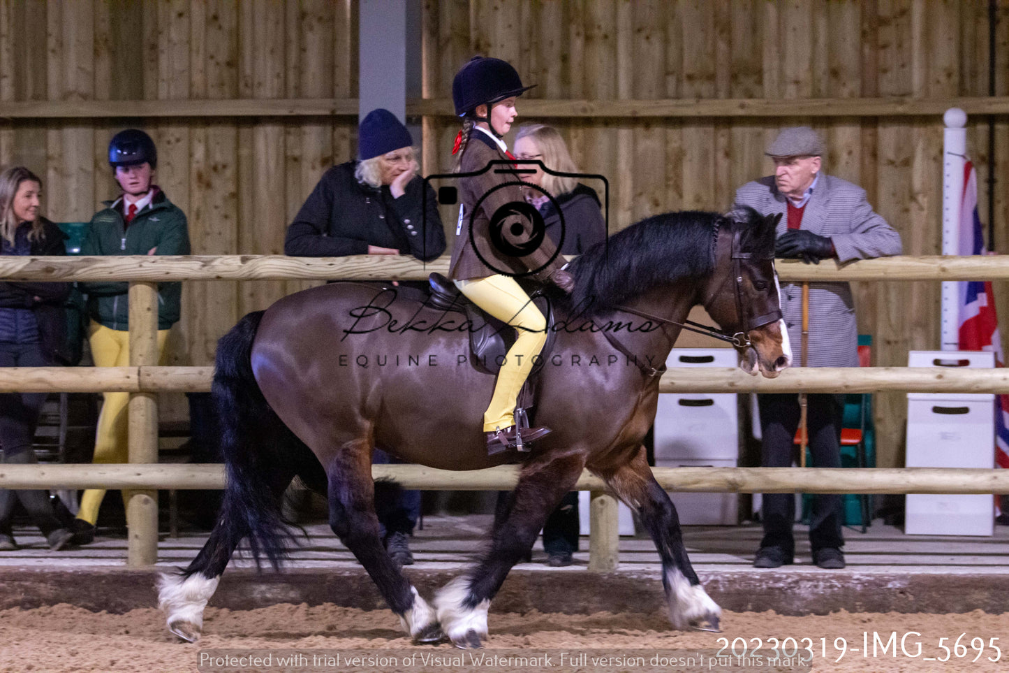 Home Farm Showing 19th March (Ridden) Pt 1