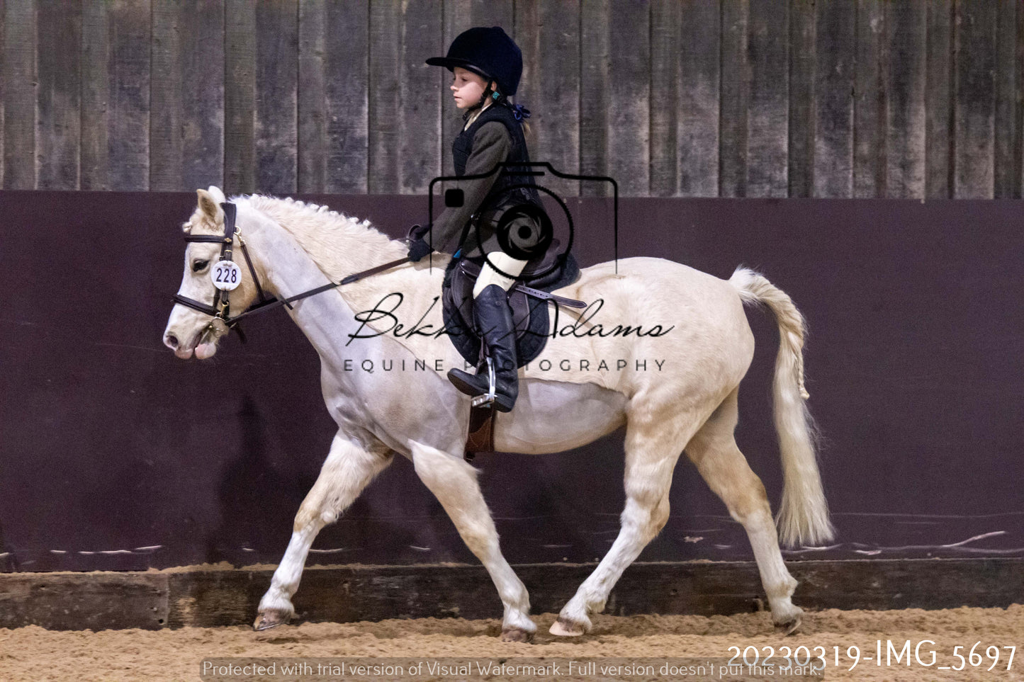 Home Farm Showing 19th March (Ridden) Pt 1