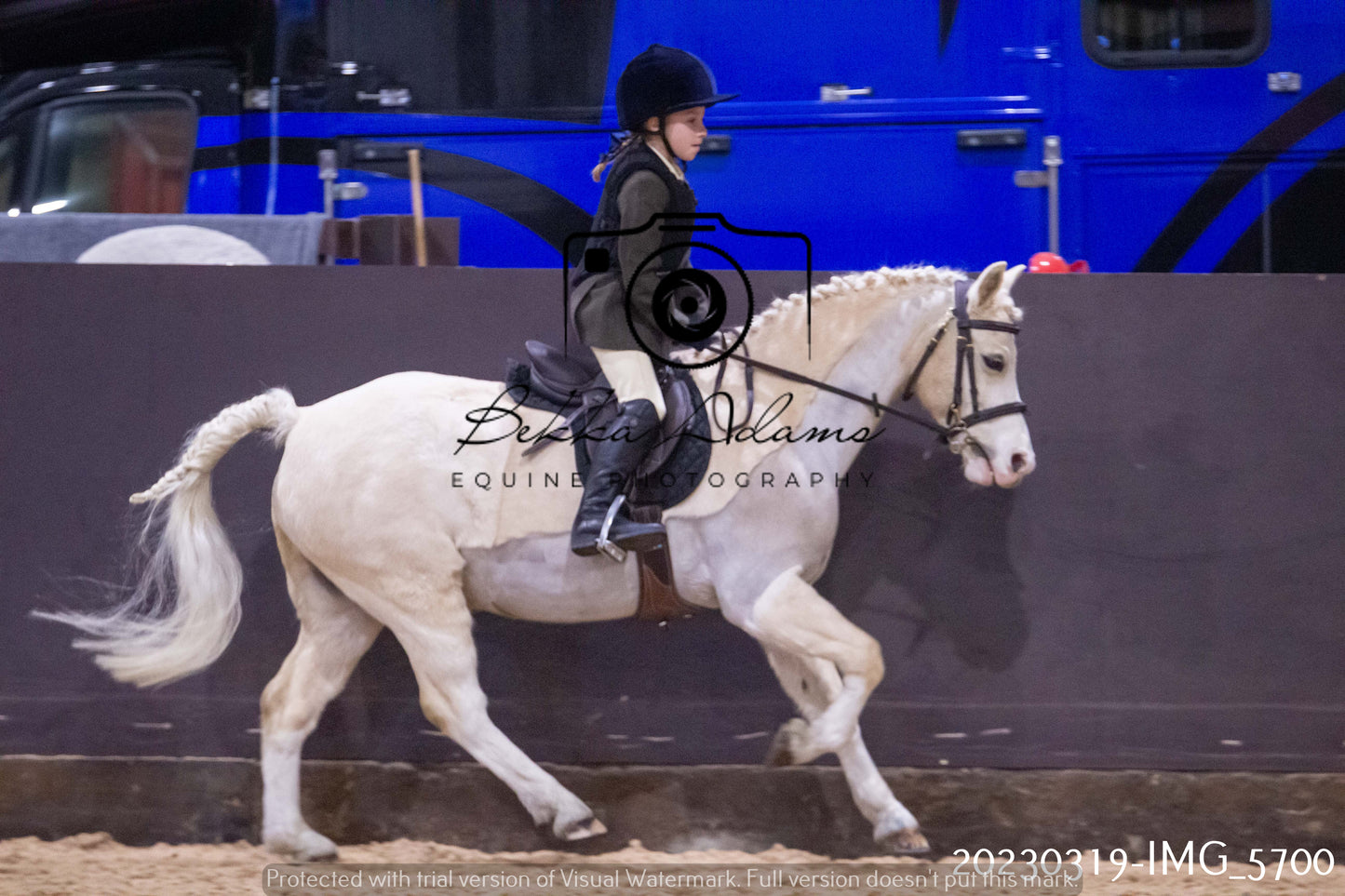Home Farm Showing 19th March (Ridden) Pt 1