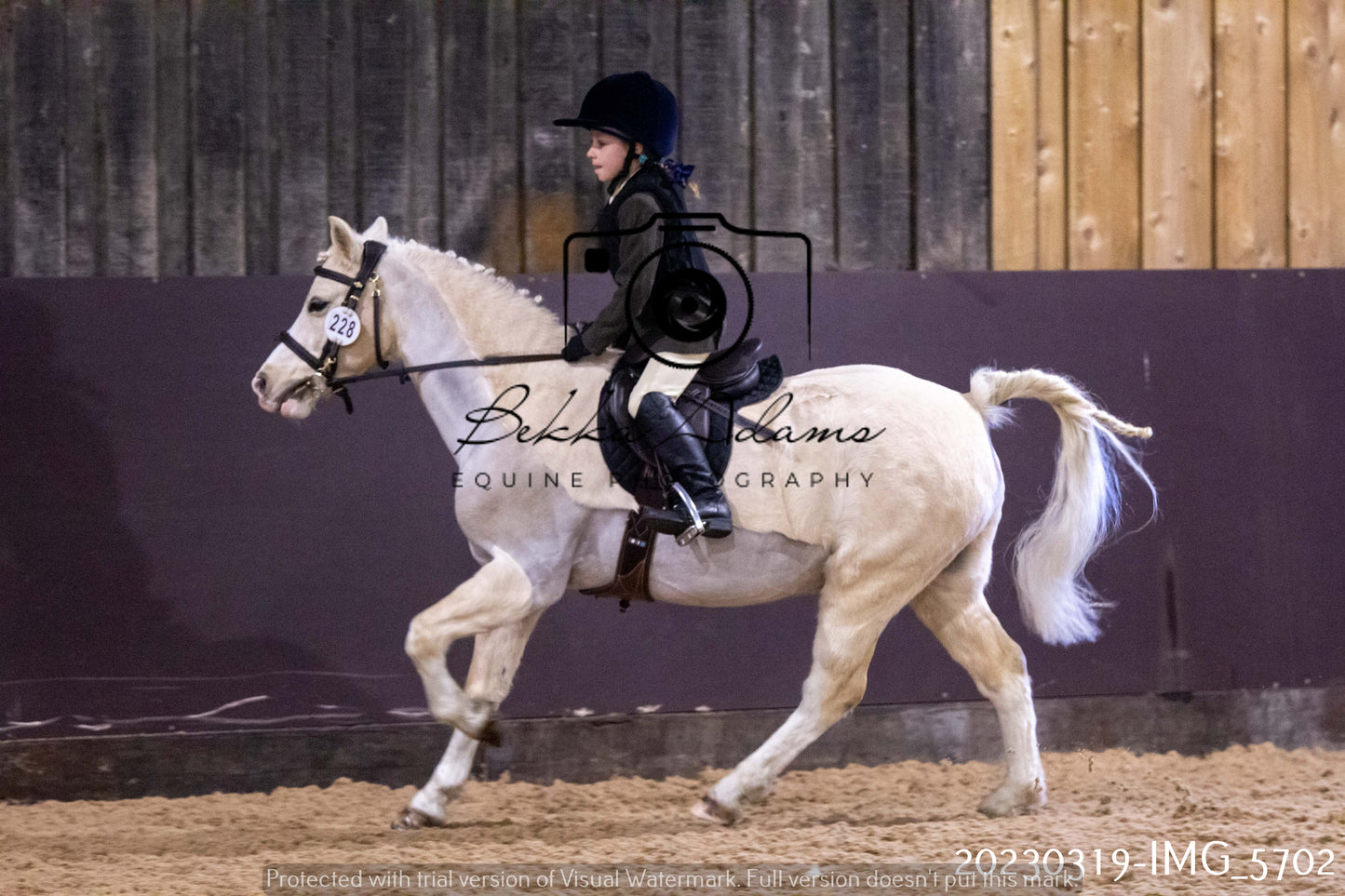 Home Farm Showing 19th March (Ridden) Pt 1