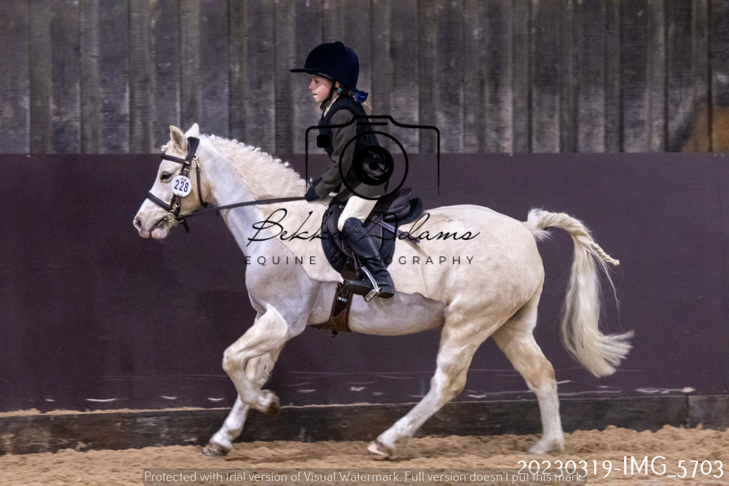 Home Farm Showing 19th March (Ridden) Pt 1