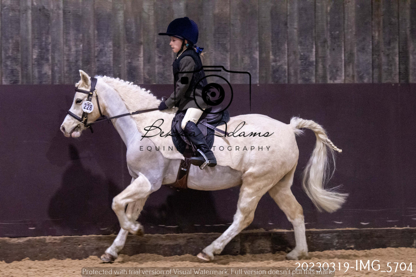 Home Farm Showing 19th March (Ridden) Pt 1