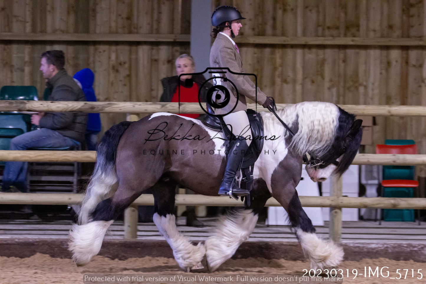 Home Farm Showing 19th March (Ridden) Pt 1