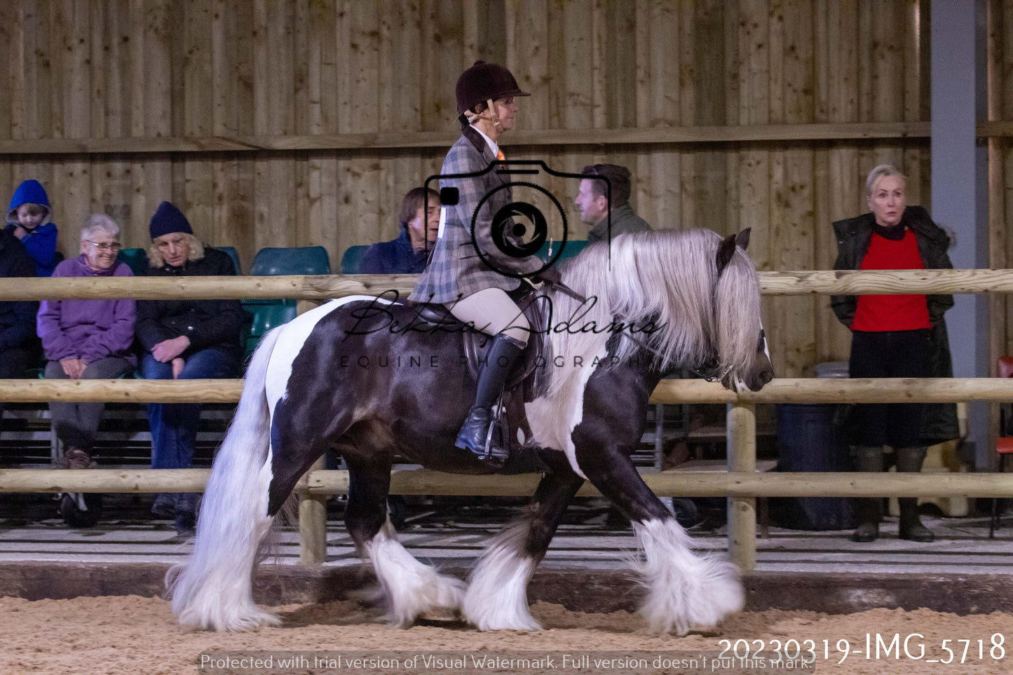 Home Farm Showing 19th March (Ridden) Pt 1