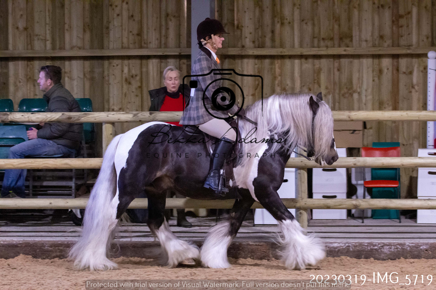 Home Farm Showing 19th March (Ridden) Pt 1