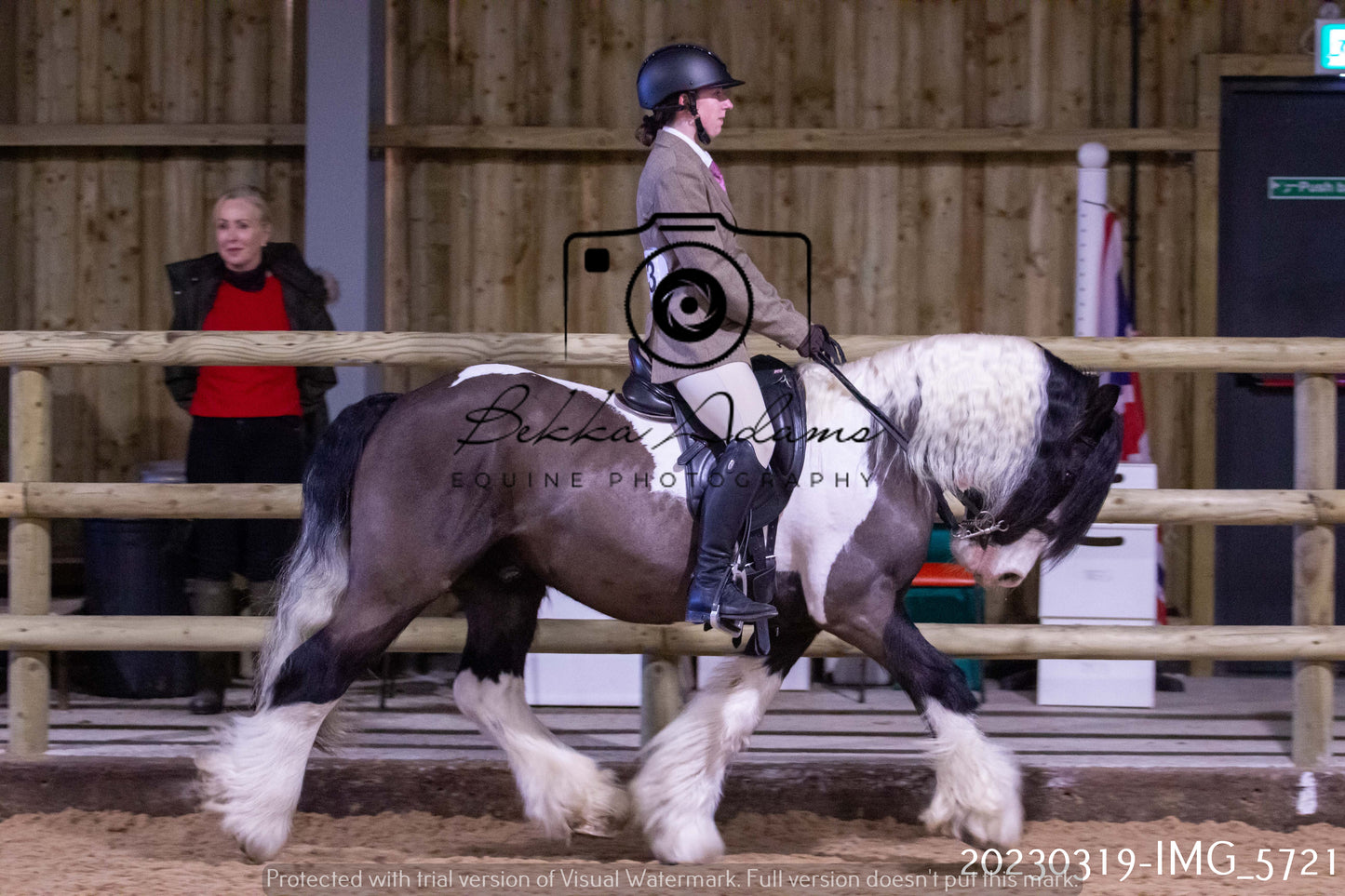 Home Farm Showing 19th March (Ridden) Pt 1