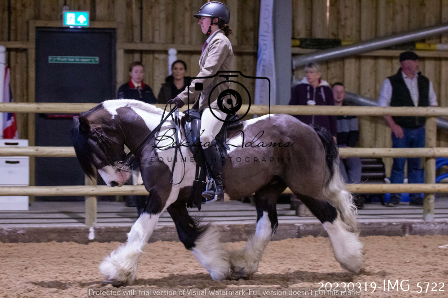 Home Farm Showing 19th March (Ridden) Pt 1