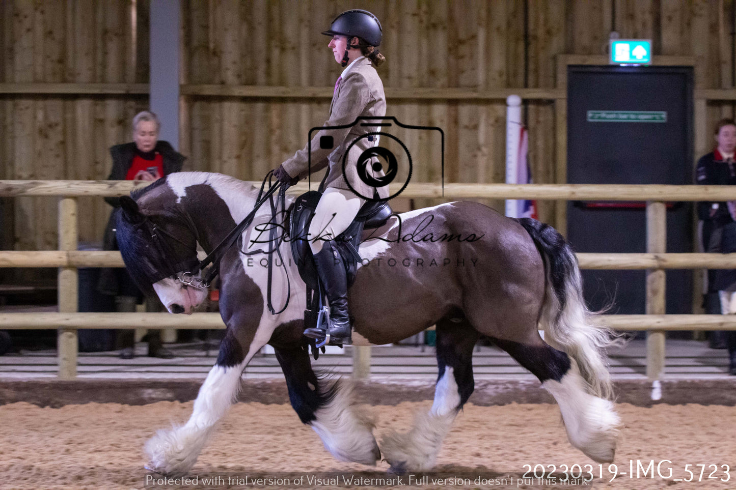 Home Farm Showing 19th March (Ridden) Pt 1