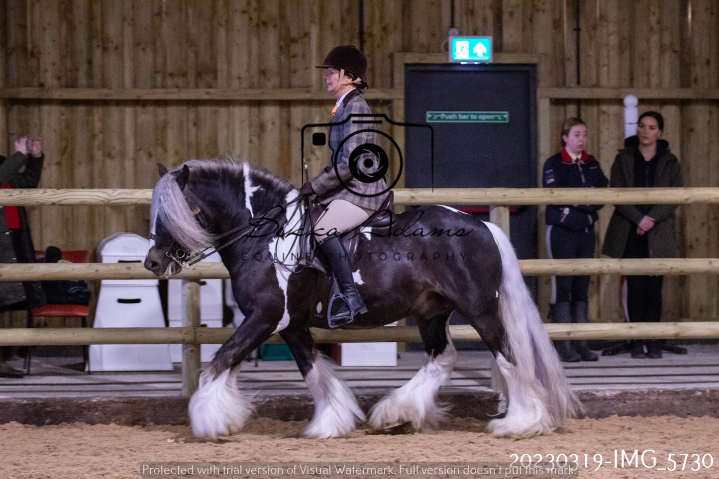 Home Farm Showing 19th March (Ridden) Pt 1