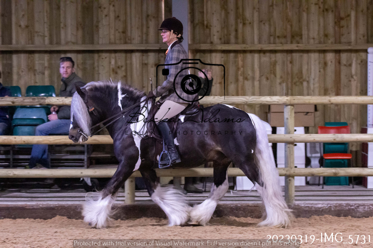 Home Farm Showing 19th March (Ridden) Pt 1