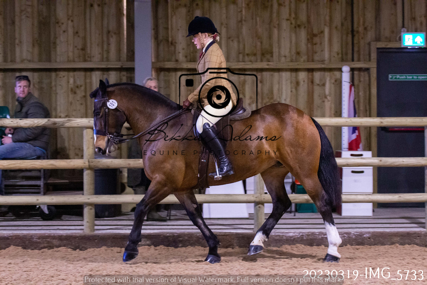 Home Farm Showing 19th March (Ridden) Pt 1