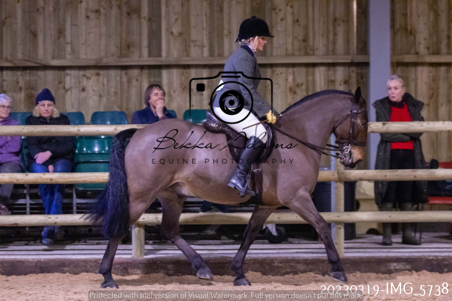 Home Farm Showing 19th March (Ridden) Pt 1
