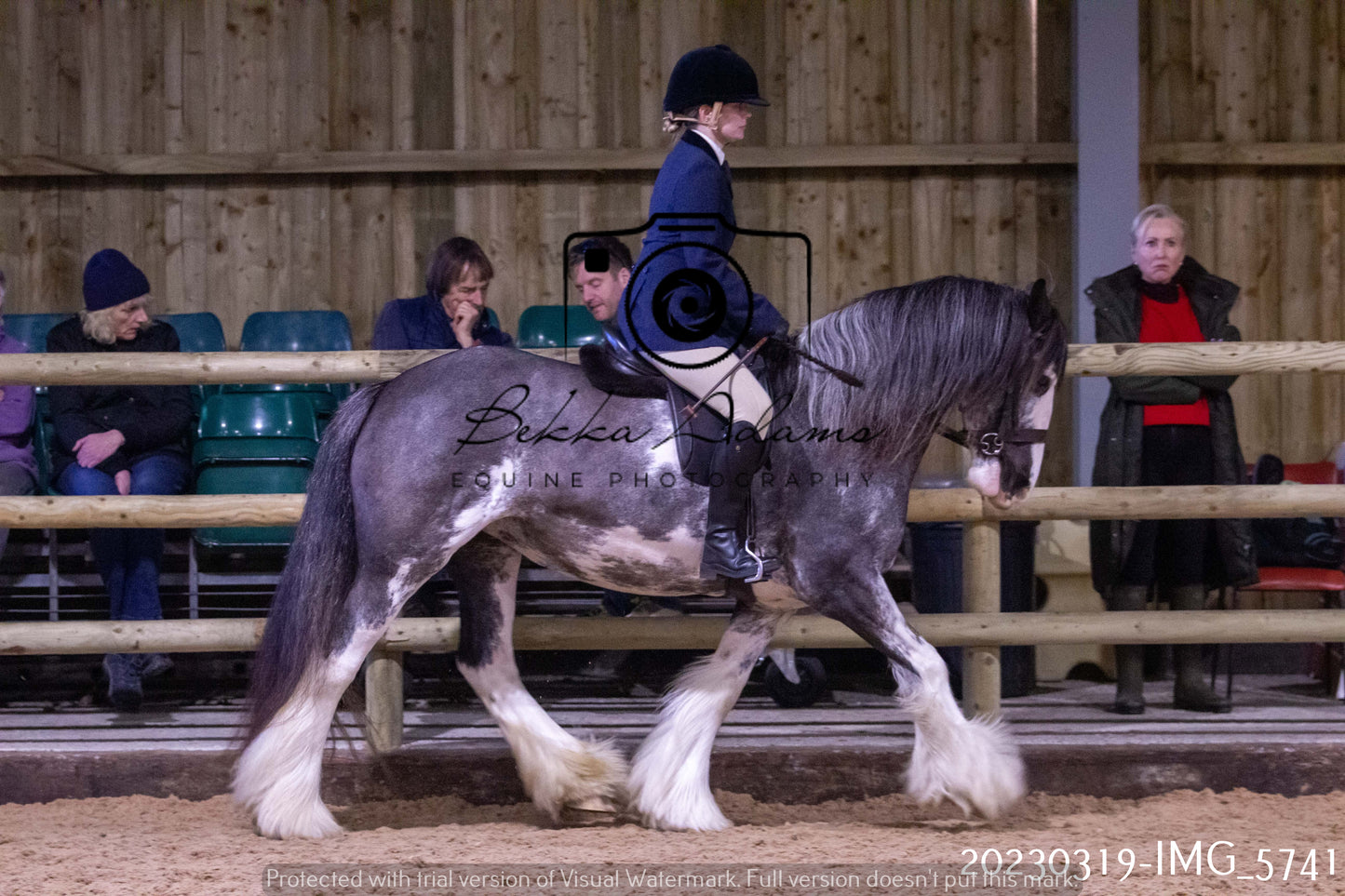 Home Farm Showing 19th March (Ridden) Pt 1
