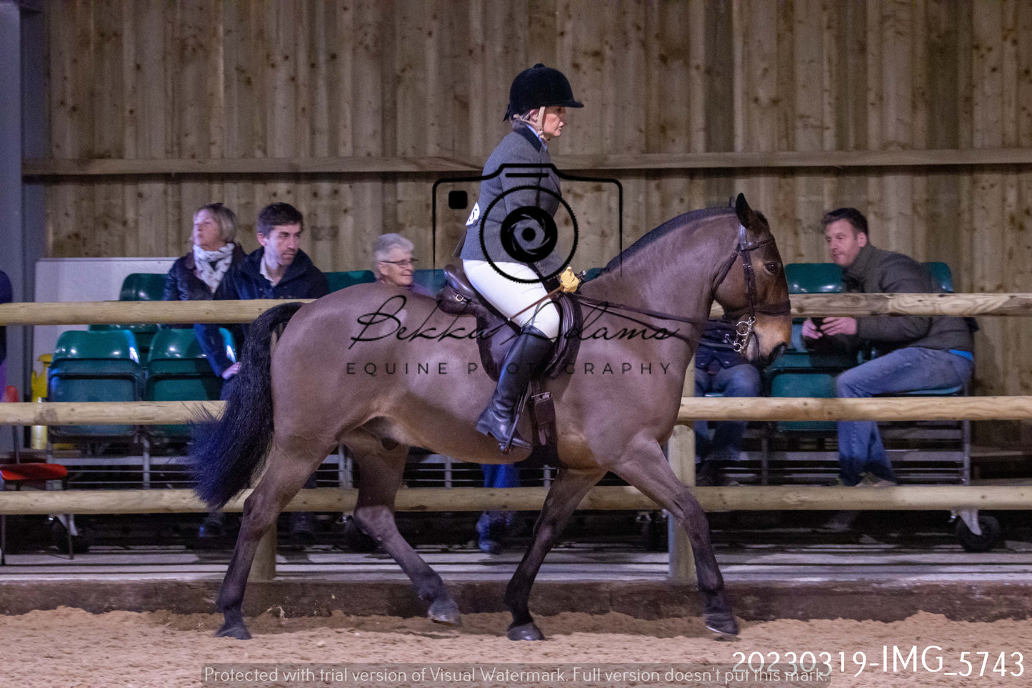 Home Farm Showing 19th March (Ridden) Pt 1