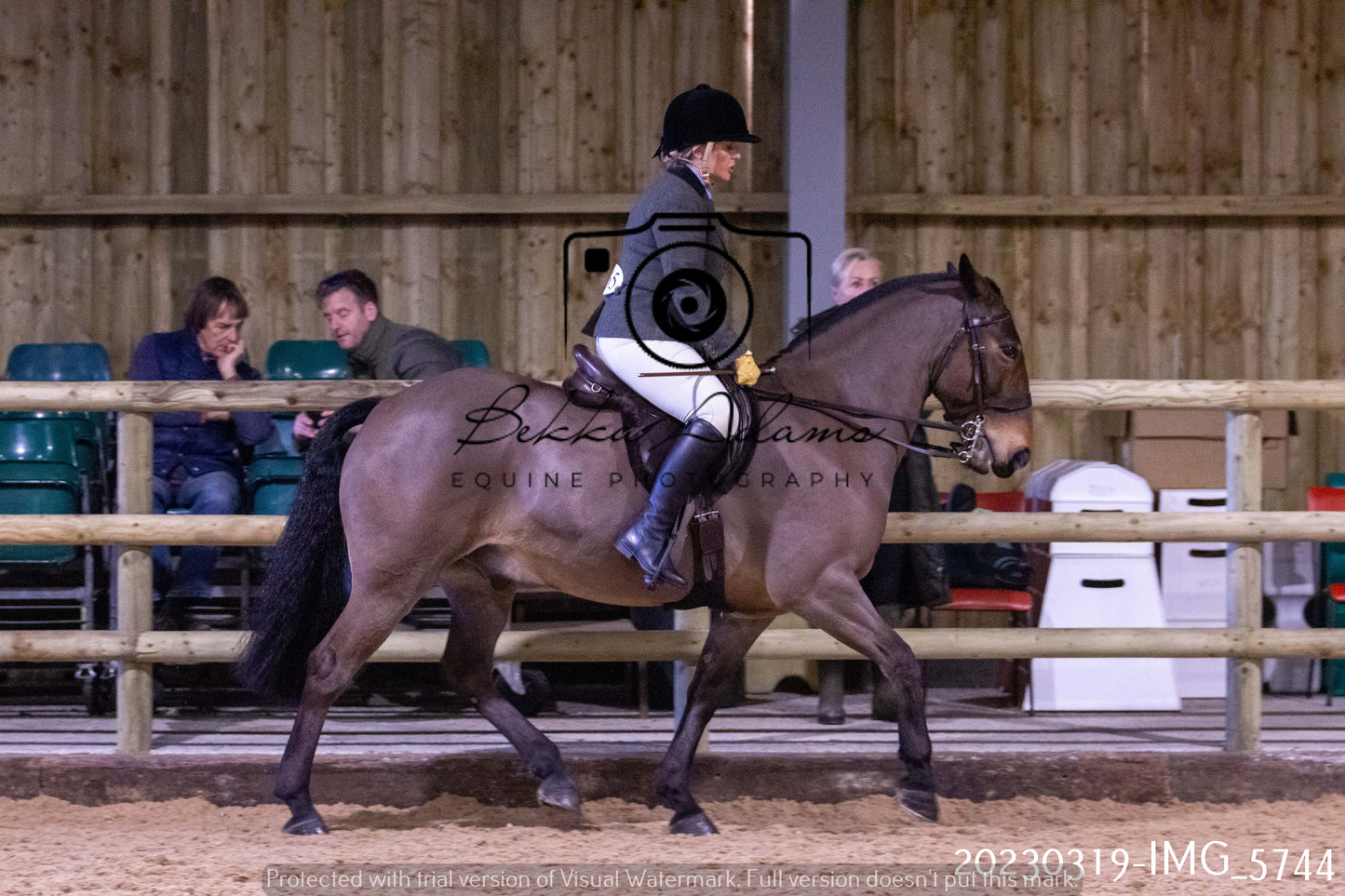 Home Farm Showing 19th March (Ridden) Pt 1