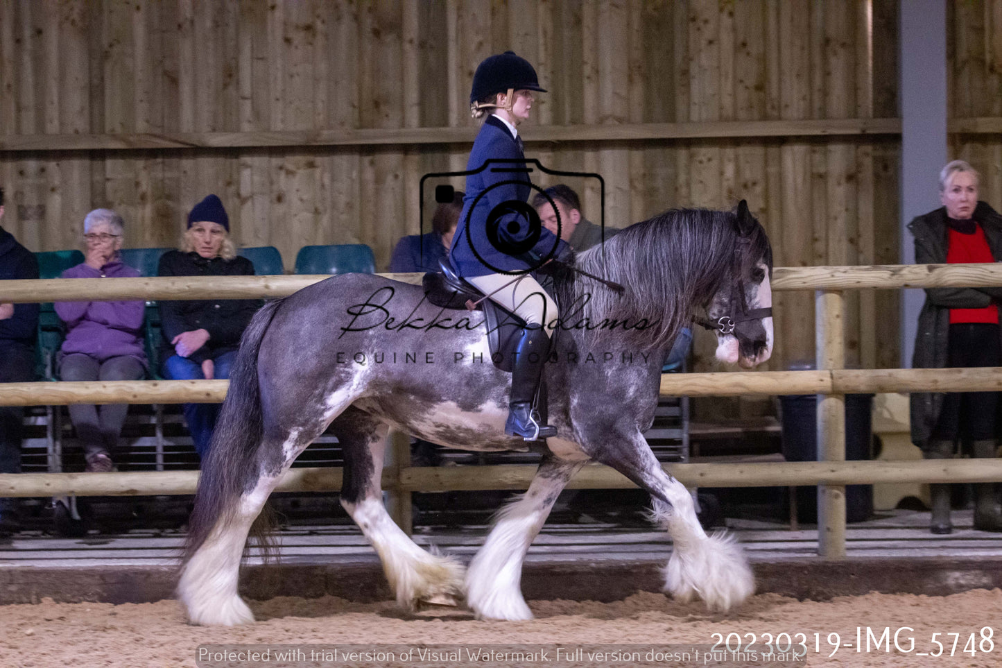 Home Farm Showing 19th March (Ridden) Pt 1