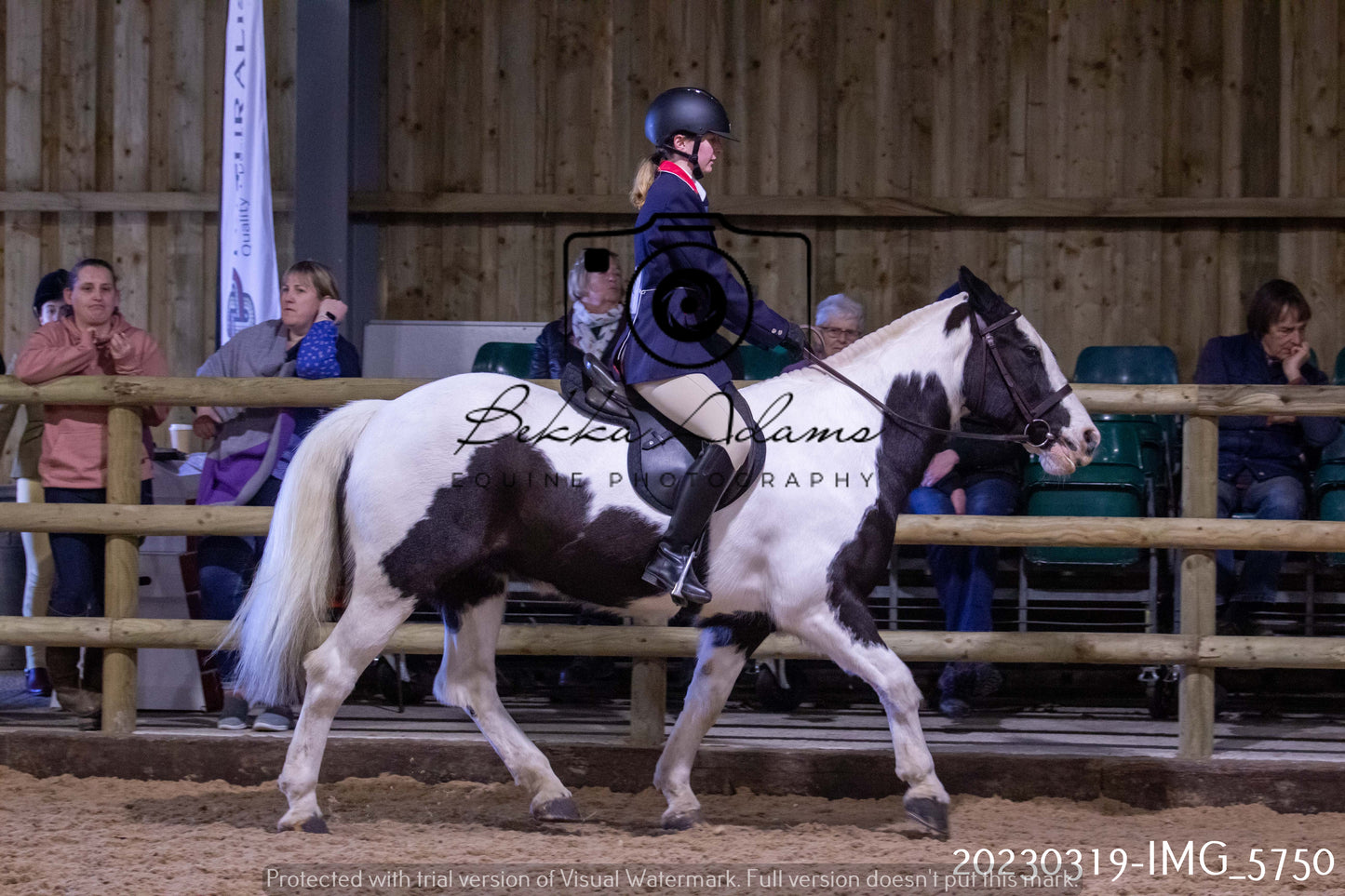 Home Farm Showing 19th March (Ridden) Pt 1