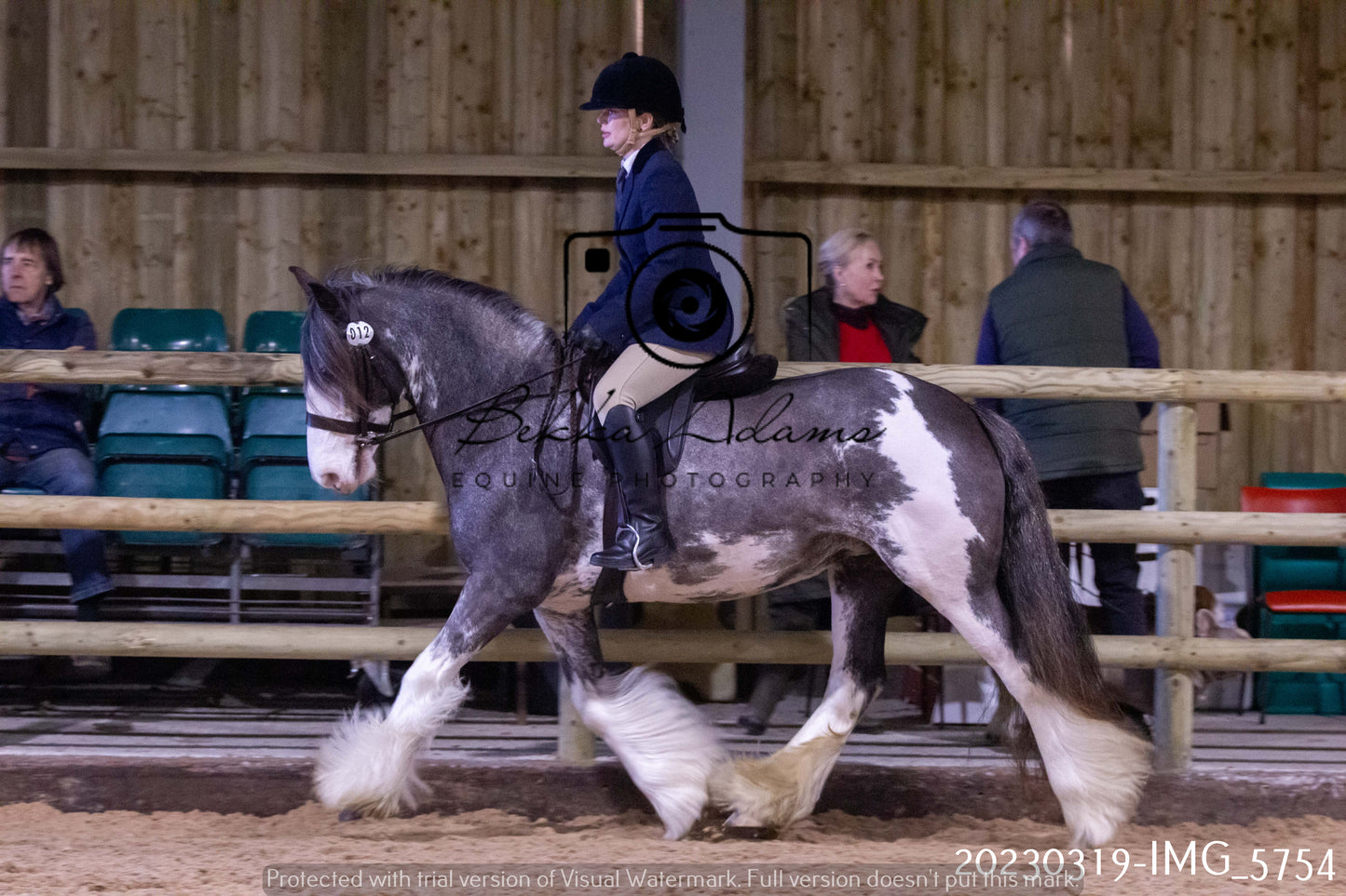 Home Farm Showing 19th March (Ridden) Pt 1