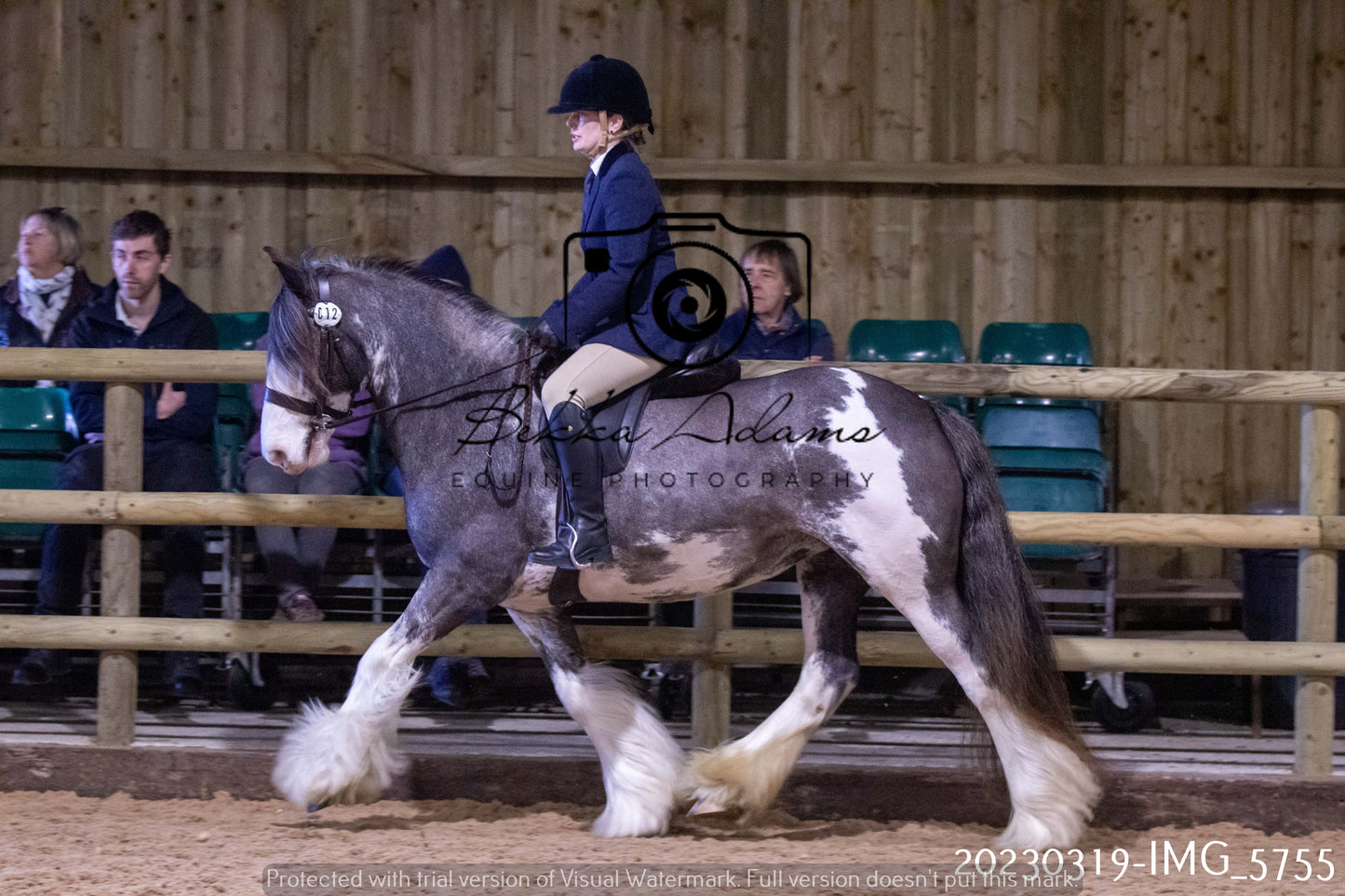 Home Farm Showing 19th March (Ridden) Pt 1