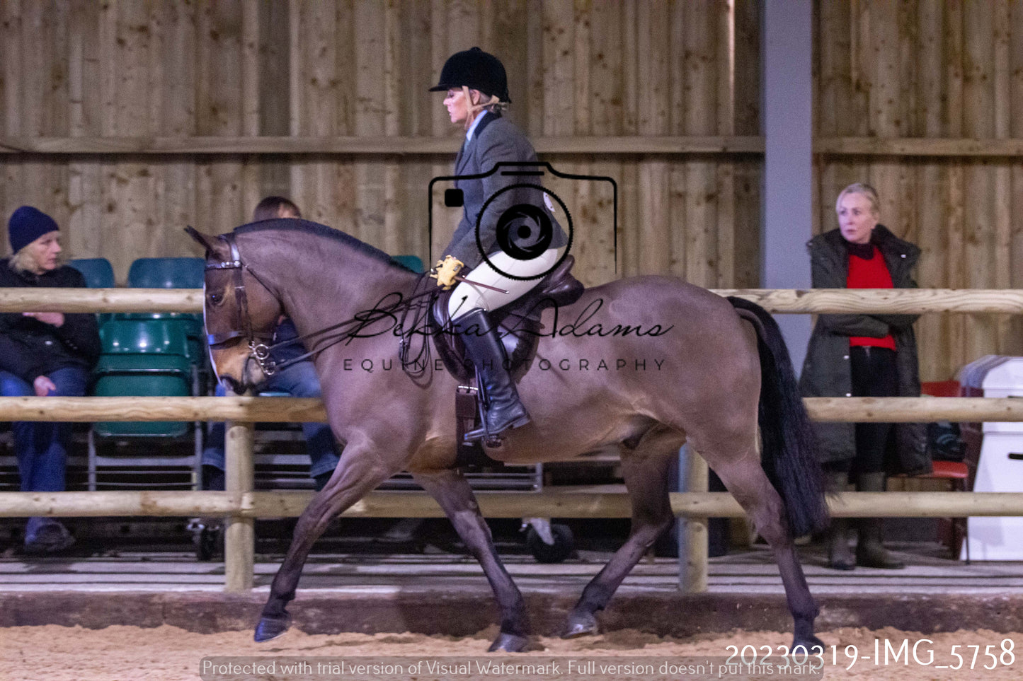 Home Farm Showing 19th March (Ridden) Pt 1