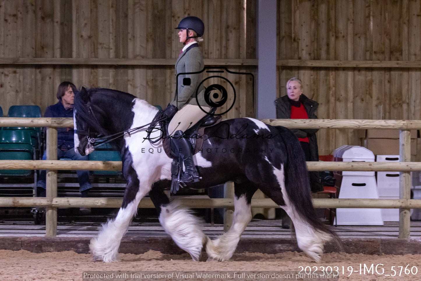 Home Farm Showing 19th March (Ridden) Pt 1