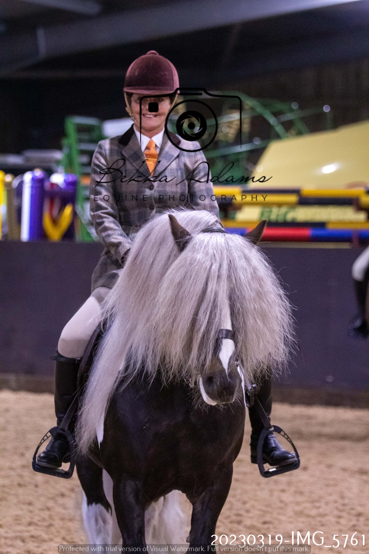 Home Farm Showing 19th March (Ridden) Pt 1