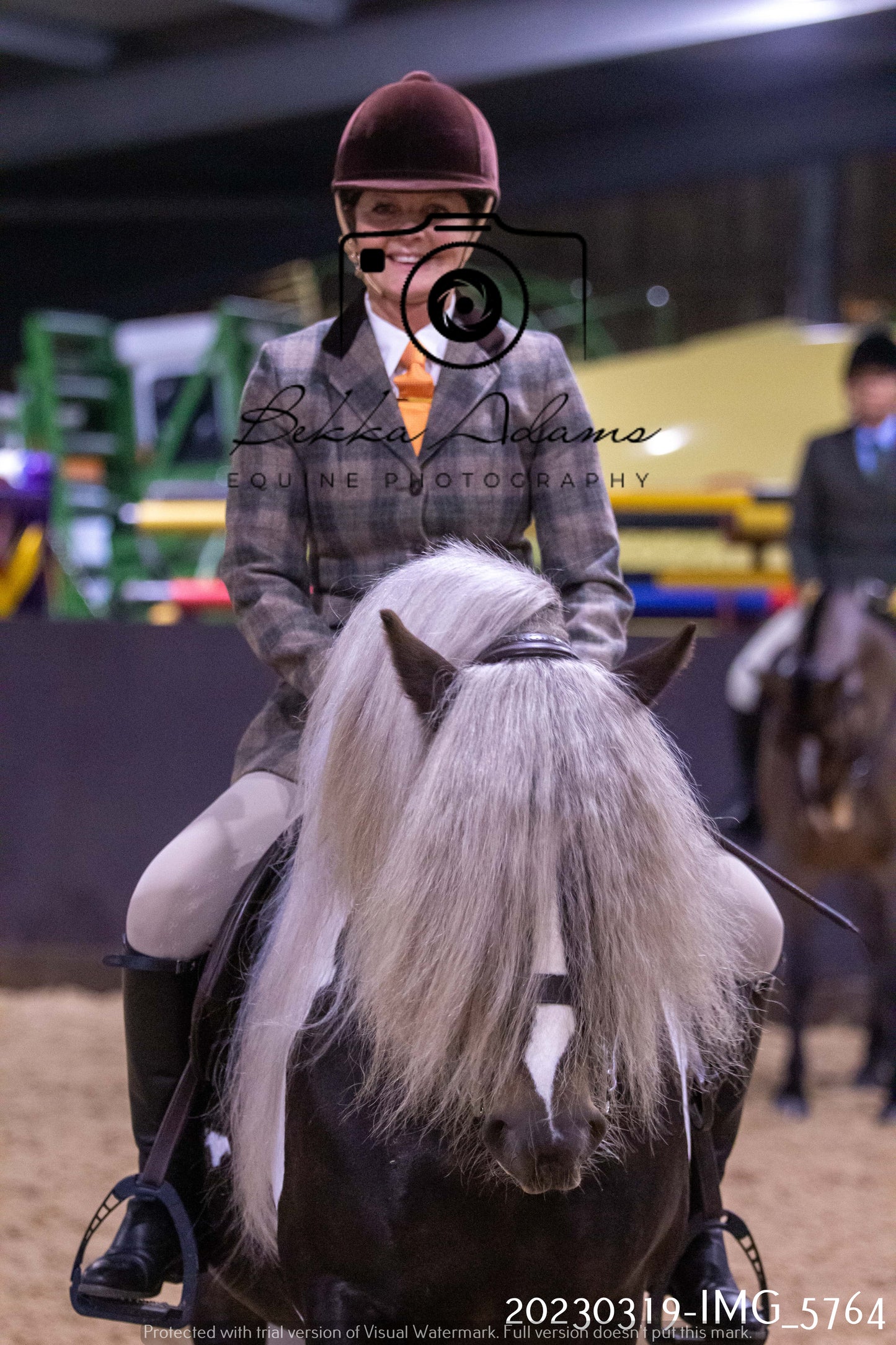 Home Farm Showing 19th March (Ridden) Pt 1