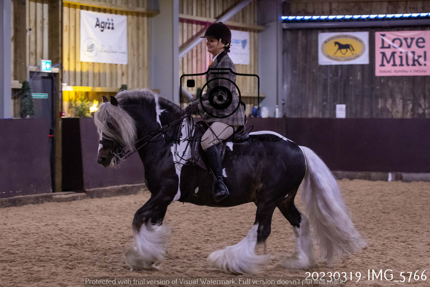 Home Farm Showing 19th March (Ridden) Pt 1