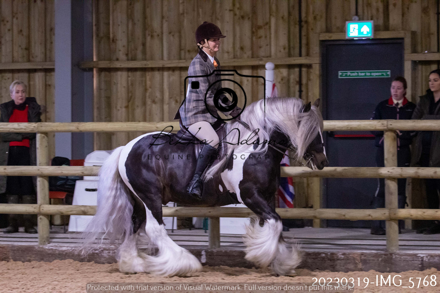Home Farm Showing 19th March (Ridden) Pt 1