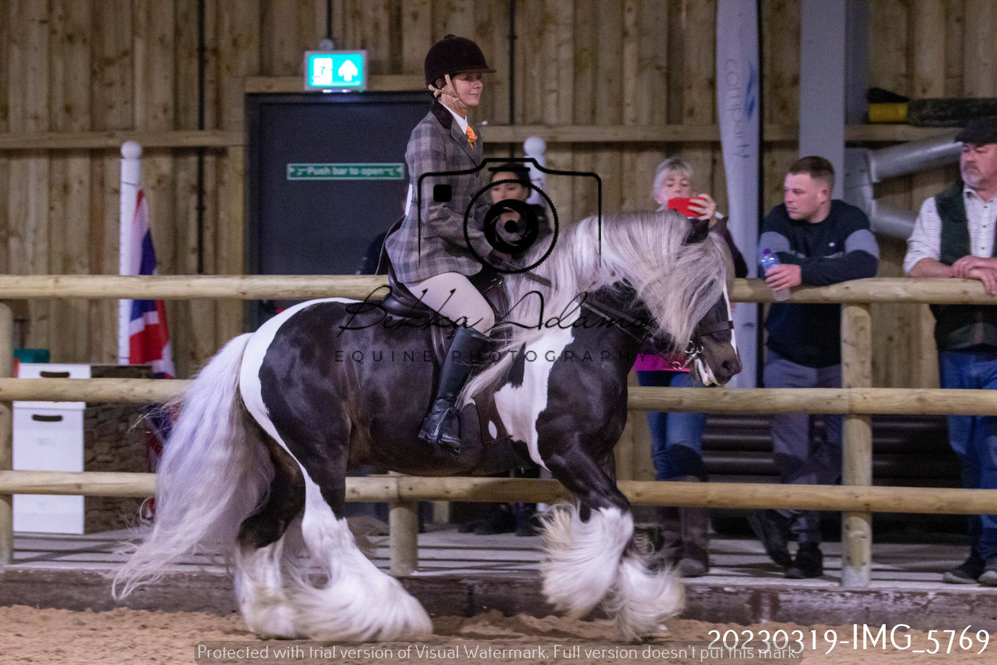 Home Farm Showing 19th March (Ridden) Pt 1