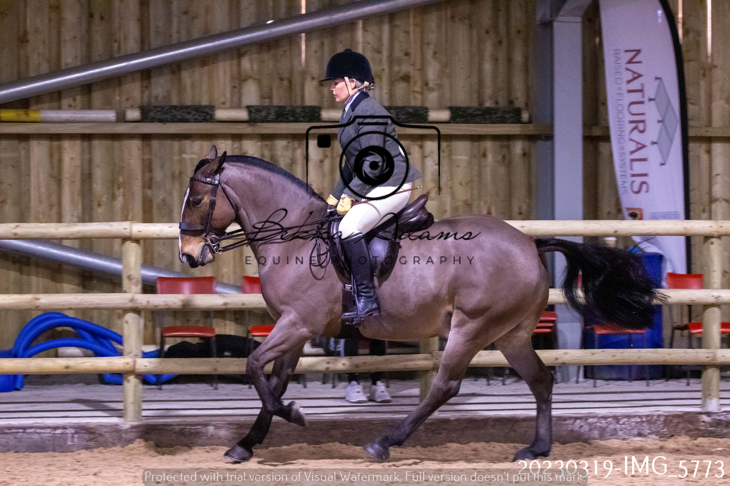 Home Farm Showing 19th March (Ridden) Pt 1