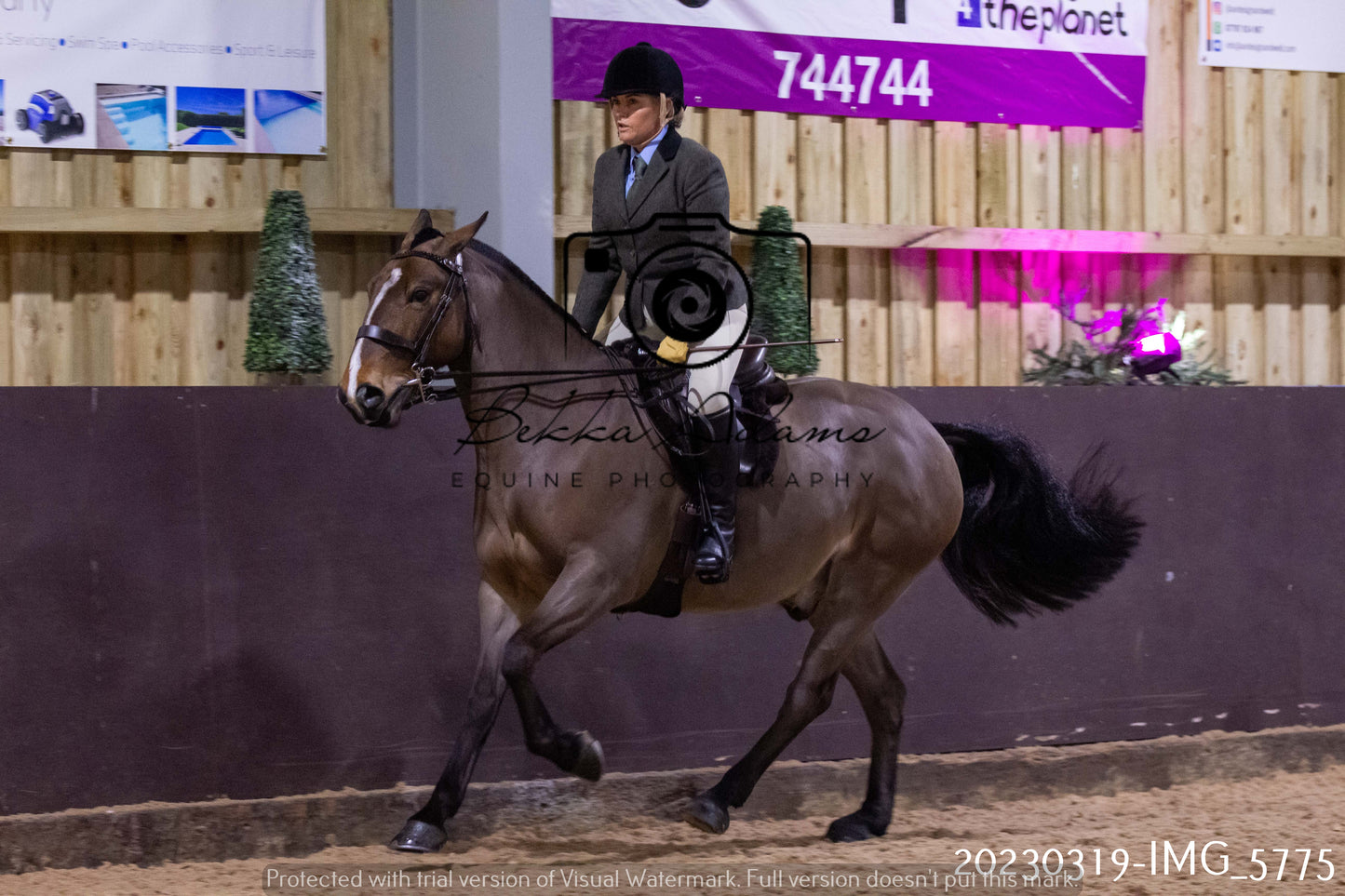 Home Farm Showing 19th March (Ridden) Pt 1
