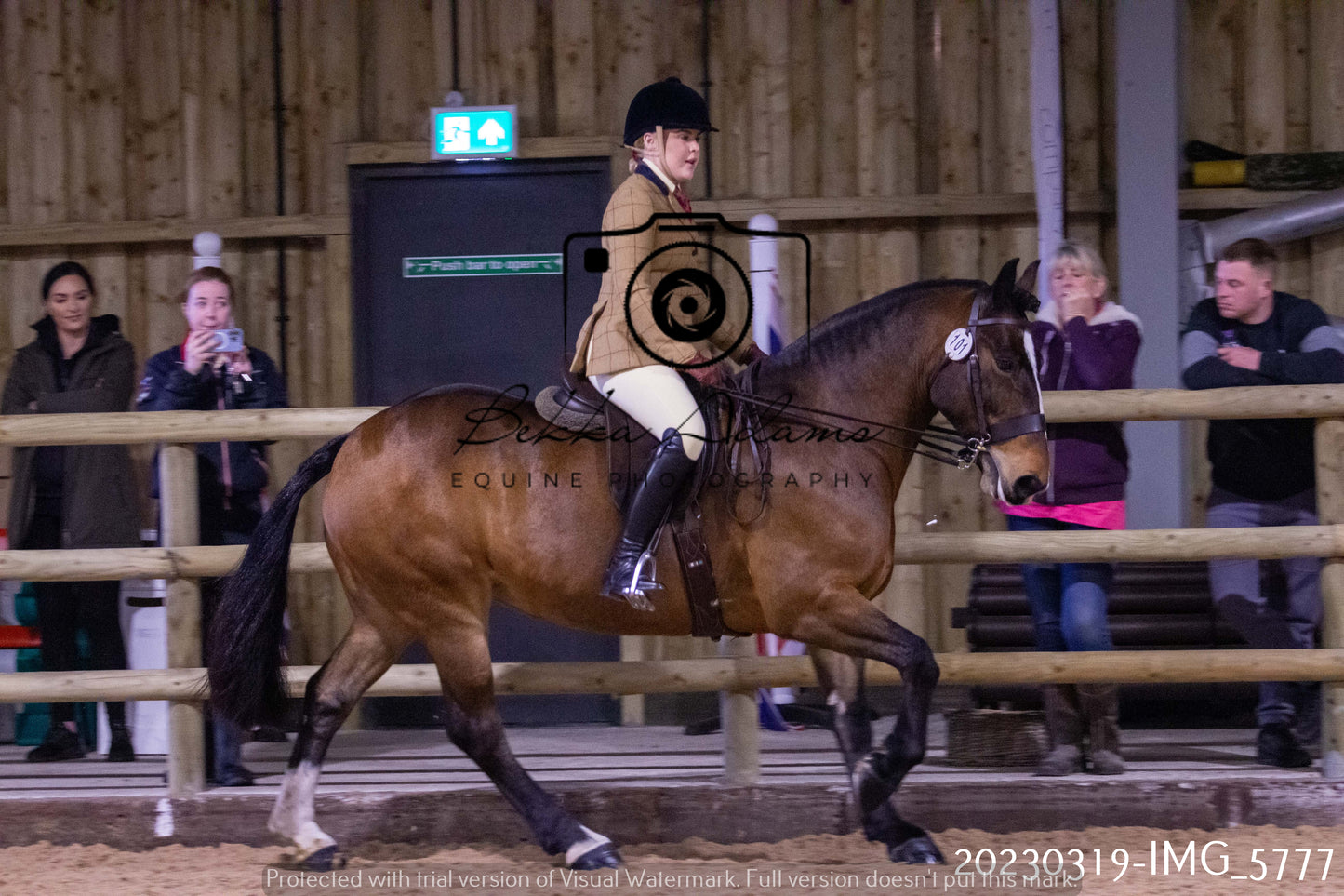 Home Farm Showing 19th March (Ridden) Pt 1