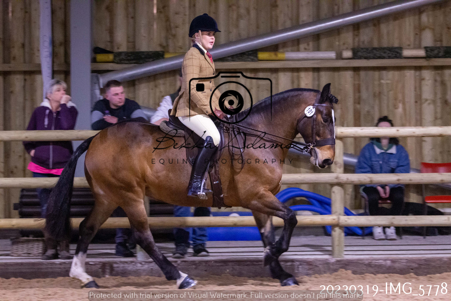 Home Farm Showing 19th March (Ridden) Pt 1