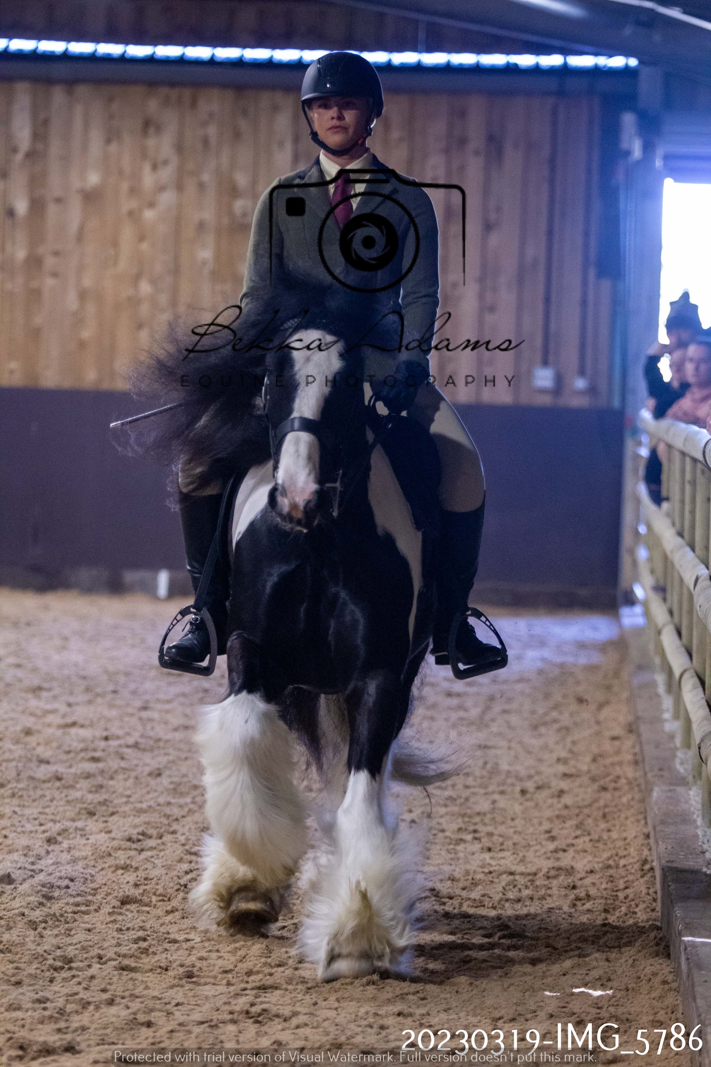 Home Farm Showing 19th March (Ridden) Pt 1
