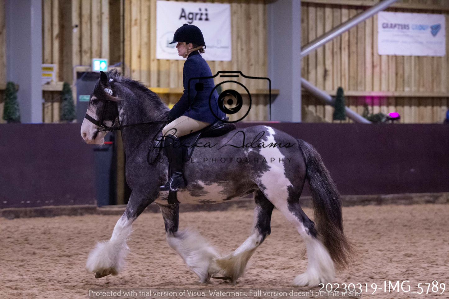 Home Farm Showing 19th March (Ridden) Pt 1