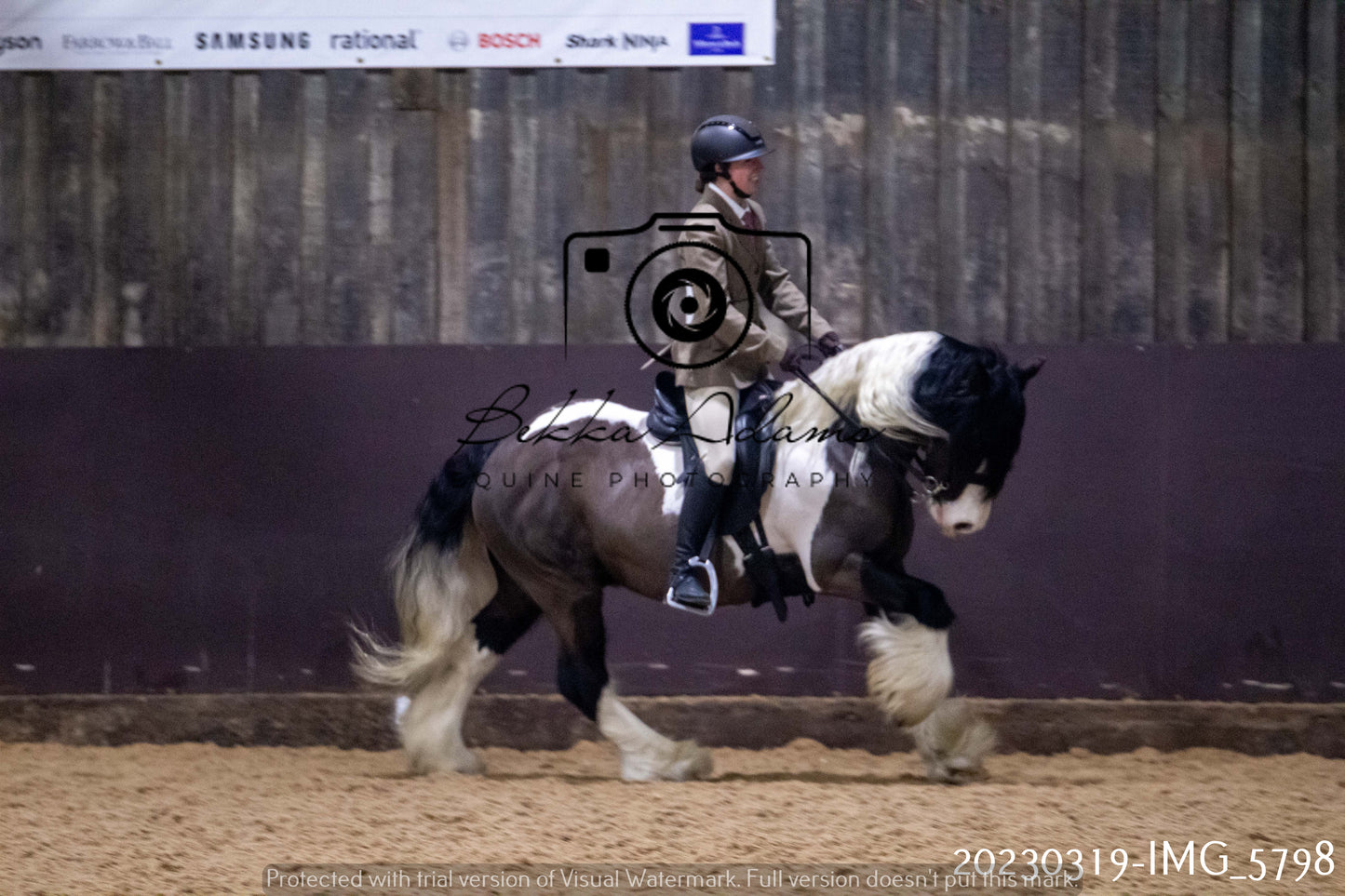 Home Farm Showing 19th March (Ridden) Pt 1